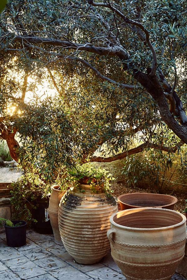 Nikolaou Art Residence Aegina المظهر الخارجي الصورة