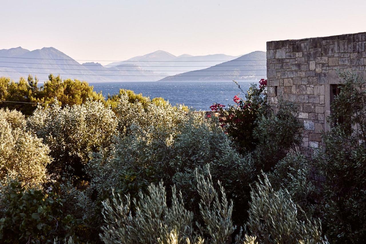 Nikolaou Art Residence Aegina المظهر الخارجي الصورة
