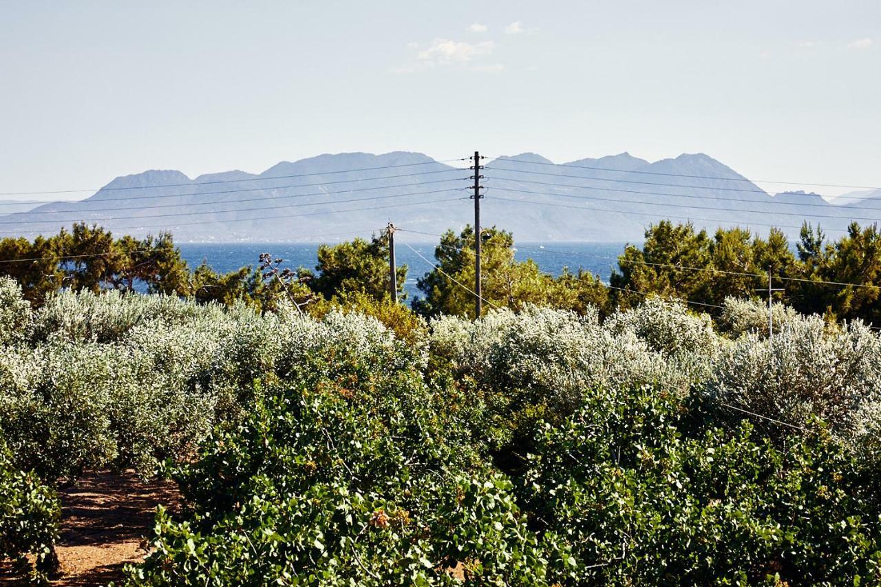 Nikolaou Art Residence Aegina المظهر الخارجي الصورة
